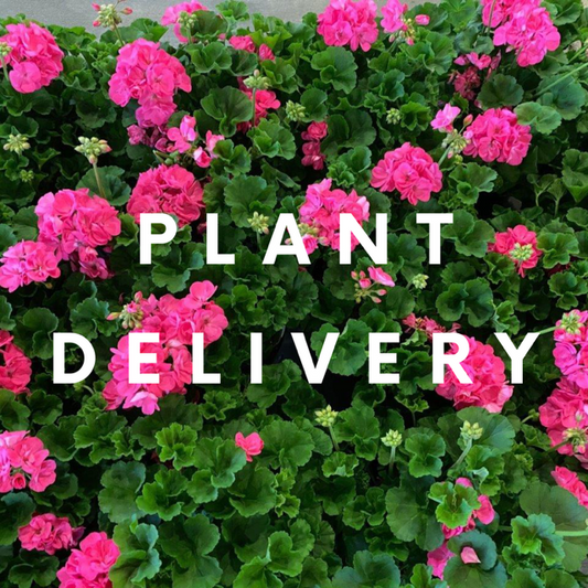 Plant Delivery